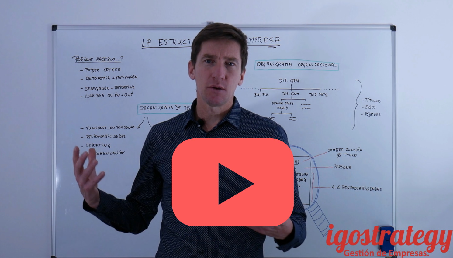 organigrama de responsabilidades - igostrategy